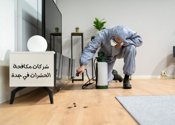 شركات مكافحة الحشرات في جدة